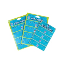 3 Boy Dikmeli Plastik Çıtçıt Seti - 72 Adet 10mm / 12mm / 15mm Şeffaf Dikmeli Çıtçıt