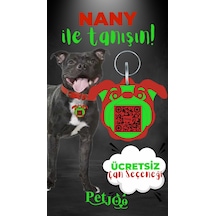 Petjoo 17.Nany Yeşil-Kırmızı Qr'lı Köpek Künyesi