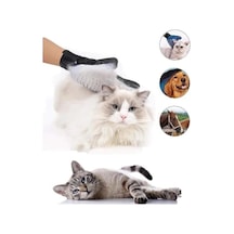 Eldiven Tarak, Masaj Etkili Kedi Ve Köpek Tarama