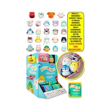 Micromallows Squishmallows Sürpriz Mini Yumuşak Peluş Oyuncak Figür - 6 Cm - 2 Adet