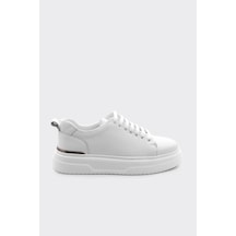 Bey Croco
