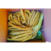 Doğal Dal Darı Sarı 250 Gr ithal Yeni̇ Mahsül