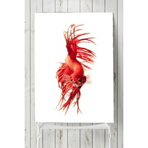 Sanatsal Balık Hayvan Posteri 4