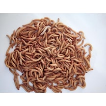 Turkuaz Un Kurdu 200 G