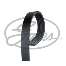 Dayco 6pk975 V Kayış Peugeot Citroen Ford