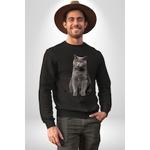 British Shorthair Kedi Unisex Siyah Sweatshirt Siyah