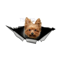 Yorkshire Terrier Araba Sticker Çıkartması