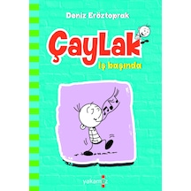 Çaylak - İş Başında - Aıaı-896810