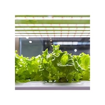 Sera Hidroponik Bitki Geliştirme Büyütme Aydınlatması - B-45