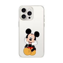 iPhone Uyumlu 16 Pro Desen234 Çok Renkli