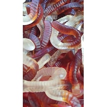 Bebeto Kolalı Solucan Meyve Aromalı Yumuşak Şeker 1 KG