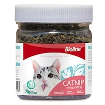 Bioline - 480 - Catnip Kedi Otu - Csmo-tex - 20 Gr