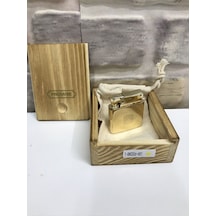 Promise Marka Muhtar Çakmağı Benzinli Sarı Gold