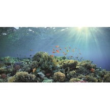 Kanki Pet Kp1256330 Akvaryum Arka Fon Yapıştırma 125 X 63 Cm