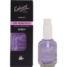 Kalyon Oje Kurutucu Sprey 17ml