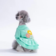 Pawstar Mint Arosa Nivalis Küçük Irk Köpek Elbisesi
