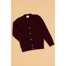 U.s. Polo Assn. Erkek Çocuk Bordo Hırka Triko 50317150-vr014 Bordo