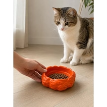 Hubrendy Sh Eko Form Model Beton Kedi Köpek Mama Ve Su Kabı 16cm 16cm 5.5cm - Turuncu