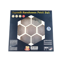 Fer Organik Karakovan Petek Balı 1 KG