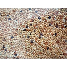 Versele Laga Col. Pickstone Red Güvercin Mineral Dest.