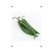 Demre Biberi Tohumu - 5 Gr - Tatlı & Verimli