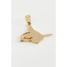 Tuğra - 172 - Çelik Kolye Ucu - Glblseme - 3 Cm-sarı Çok renkli
