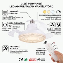 Çok Renkli
