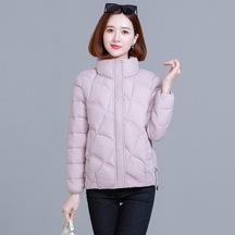 2025 Yeni Kadın Pamuklu Ceket, Kısa Model, Kore Stili, Bol Kesim, Sıcak, Dik Yaka, Küçük Beden Açık Pembe