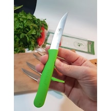 Sürbisa Meyve Takımı Yeşil 6'lı 61007 7.0 Cm Çok Renkli