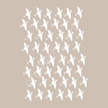 Bn05 25X36 Cadence Bn Serisisi Stencil