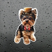 Sevimli Yorkshire Terrier Köpek Araba Sticker Çıkartma 1