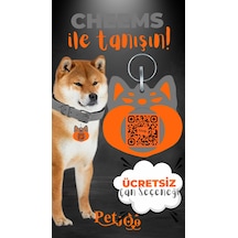 Petjoo 18.Cheems Turuncu-Gri Qr'lı Köpek Künyesi