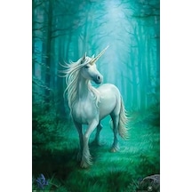 Maxi Poster Anne Stokes Forest Unicorn