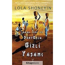 Baba Segi ve Dört Eşin Gizli Yaşamı - Lola Shoneyın - Feniks Kitap