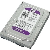 Western Digital 1 TB 3.5'' 5900RPM WD10PURX Purple 64 MB 7x24 Sata 3 SSD