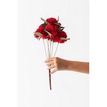 Yapay Kasımpatı Çiçeği Kırmızı 40 Cm 7 Dal Çok Renkli