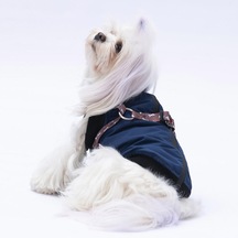 Lacivert Nuuk Yelek Köpek Yeleği Köpek Kıyafeti Köpek Yağmurluk