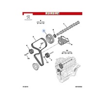 Eksantrik Dişlisi Berlingo-celysee-c1-c2-c3 I/ii/pcs-c4-c5-jumpy-nemo-206-207-208-301-partner Dv6