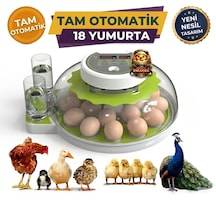 18 Yumurtalı Kapasiteli Tam Otomatik Dijital Kuluçka Makinesi