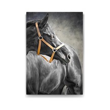 Siyah At Tablosu - 80x125cm