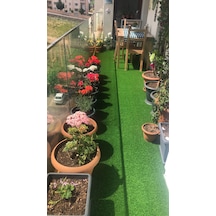 Yapay Çim Ilkbahar 20 Mm Suni Dekoratif Çim Halı M2