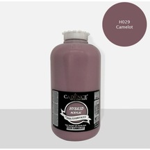 H029camelot