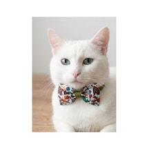 Kedi Papyon Tasma Yeşil