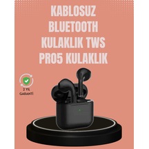 Kulak Içi