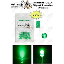 Yeşil Mantar Led Diyot Lamba 30 Lu 1 Paket Yeşil 4.8 Mm Mini Mantar Led Lamba Deney Bilim Proje Arduino Işığı