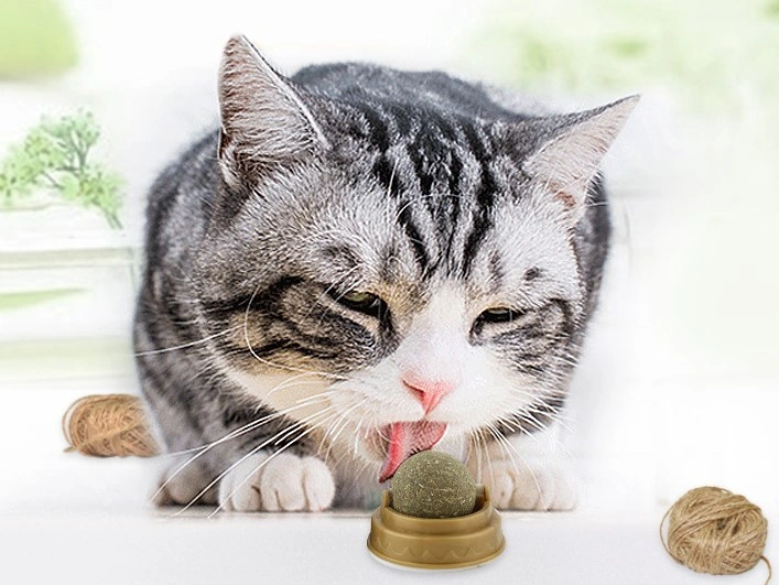 Kedi Otu Oyun Topu 4 Renk