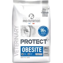 Pro Nutrition Protect Veterinary Obesite Kilo Kontrolü Köpek Maması 12 Kg