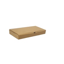 E-ticaret Kutusu 8x16x2 100 Adet