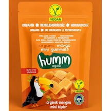 Organik Glutensiz Vegan Mangolu Mini Küpler 30 Gr