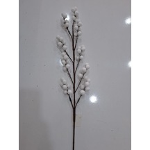 70 CM